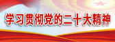 學習貫徹黨的二十大精神